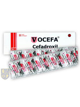 Vocefa